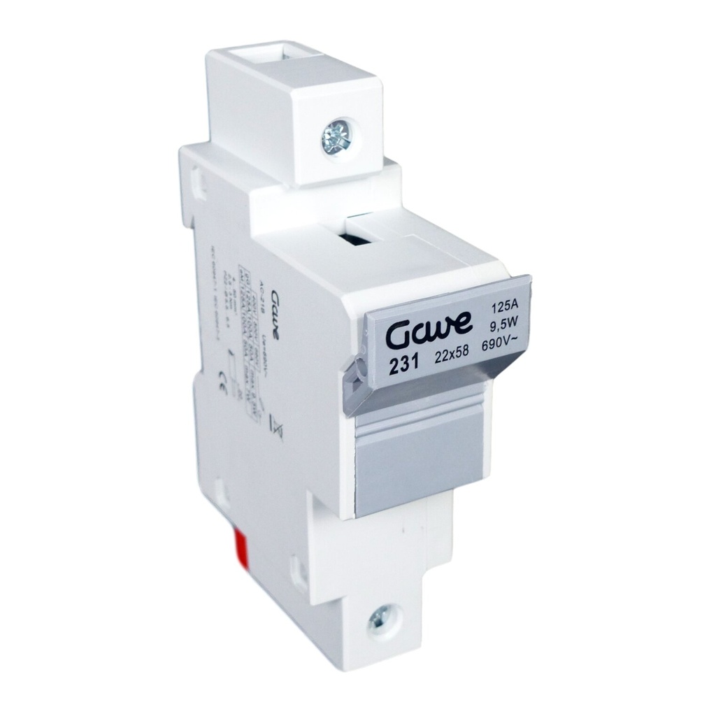 PORTAFUSIBLE  22X58 1P 100A.RAIL DIN